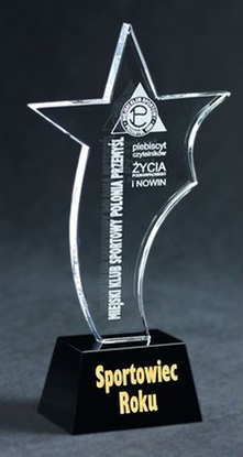 Изображение VS Trofeum szklane grawerowane + wypenienie farb