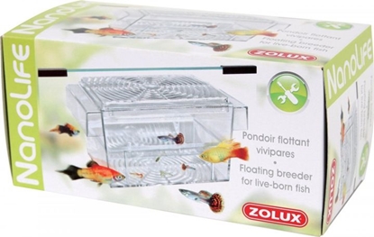 Picture of Zolux Kotnik dla gupików