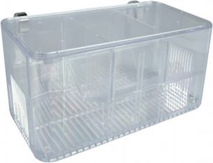 Picture of Zolux Kotnik na 5 sposobów