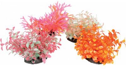 Изображение Zolux Napowietrzacz Aeroplant - 17 cm róne kolory