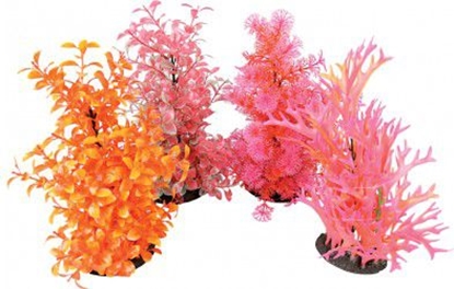 Изображение Zolux Napowietrzacz Aeroplant - 33 cm róne kolory