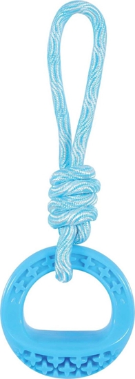 Picture of Zolux Zabawka TPR SAMBA okrga ze sznurem 26 cm kol. niebieski