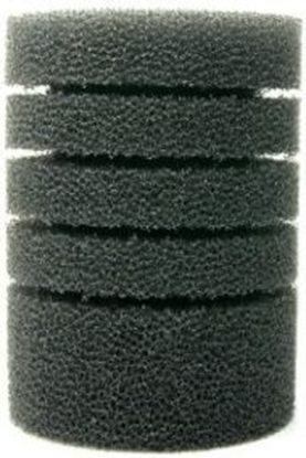 Picture of ZOOLOGIA Gbka Bio okrga 12/7 cm