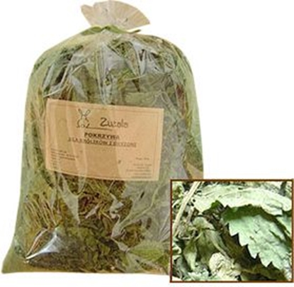 Attēls no Zuzala POKRZYWA SUSZONA