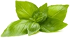 Picture of Click & Grow Smart Refill Lemon Basil 3pcs