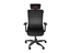 Изображение Genesis Ergonomic Chair Astat 700 mm | Base material Aluminum; Castors material: Nylon with CareGlide coating | Black
