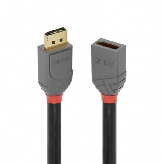 Изображение Lindy 1m DisplayPort  Extension Cable, Anthra Line