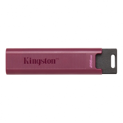 Attēls no Zibatmiņa Kingston DataTraveler MAX 512GB