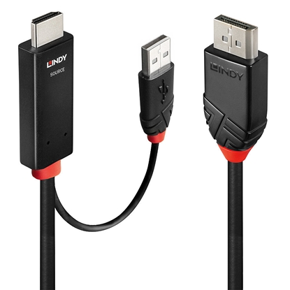 Изображение Lindy 41500 video cable adapter 3 m HDMI + USB Type-A DisplayPort Black