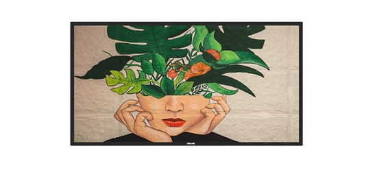 Picture of Philips 65BDL4511D/00 Signage Display Digital A-board 165.1 cm (65") 500 cd/m² 4K Ultra HD Black 24/7