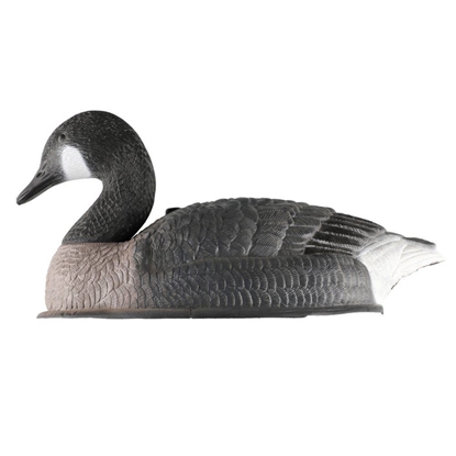 Attēls no Dārza dekors Kanādas zoss