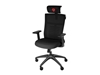 Изображение Genesis mm | Base material Nylon; Castors material: Nylon with CareGlide coating | Ergonomic Chair Astat 200 Black