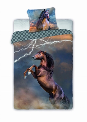Picture of HORSES PIORUN youth bedding 140x200cm + pillow 70x90cm