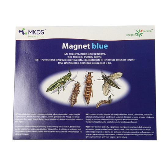 Picture of Lamatas lipīgas Magnet Blue tripšien, trūdodiņiem 1gab