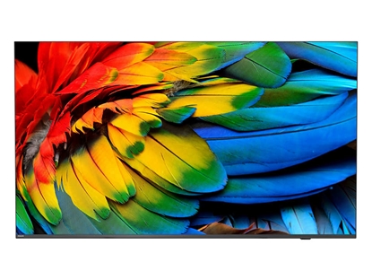 Изображение Philips 50HFL6214U Rollable display 127 cm (50") 4K Ultra HD Smart TV Wi-Fi Anthracite