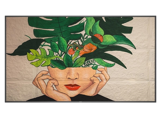 Picture of Philips 75BDL4511D/00 Signage Display Digital A-board 190.5 cm (75") 500 cd/m² 4K Ultra HD Black 24/7