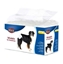 Attēls no TRIXIE - Nappies for Dogs - M-L