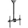 Picture of TECHLY 309357 Ceiling mount for TV
