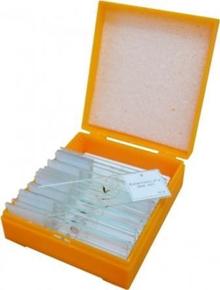 Picture of Levenhuk N10 NG Prepared Slides Set