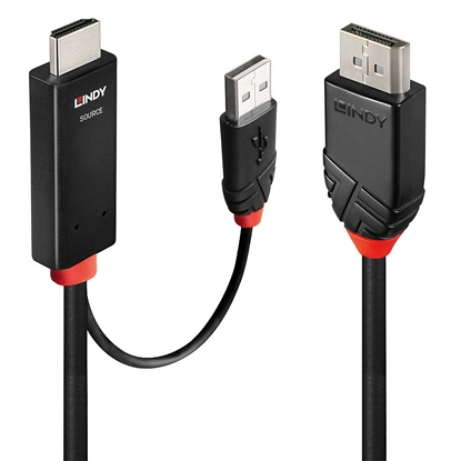Attēls no Lindy 41498 video cable adapter 1 m HDMI + USB Type-A DisplayPort Black