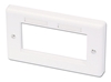Picture of Lindy Double AV Face Plate