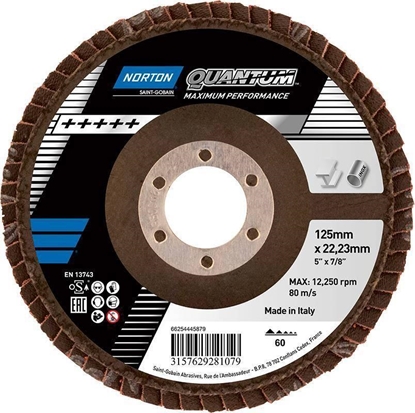Изображение Norton Clipper ciernica listkowa talerzowa QUANTUM PREMIUM R996, wypuka