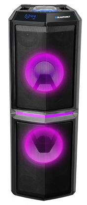 Picture of Blaupunkt PS10DB portable speaker 1200 W Black