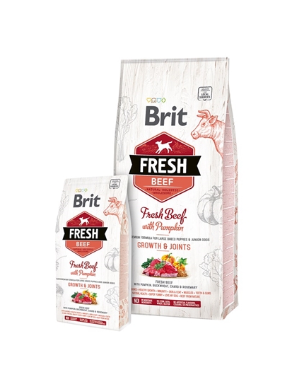 Picture of BRIT Fresh Puppy&Junior Large Growth&Joints Beef with Pumpkin - dry dog food - 12 kg