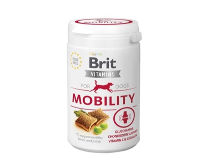 Picture of BRIT Vitamins Mobility for dogs - supplement for your dog - 150 g