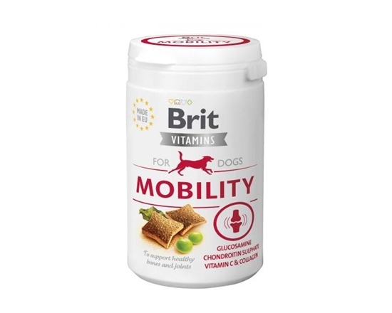 Изображение BRIT Vitamins Mobility for dogs - supplement for your dog - 150 g