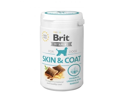 Picture of BRIT Vitamins Skin&Coat for dogs - supplement for your dog - 150 g