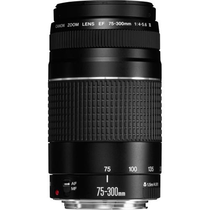 Picture of Canon EF 75-300mm f/4-5.6 III Lens