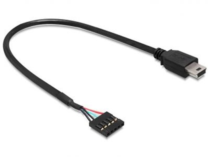 Attēls no Delock Cable USB 2.0 pin header female  USB mini male 30 cm