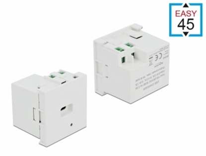 Picture of Delock Easy 45 USB Charging Port Module 1 x USB Type-C™ PD
