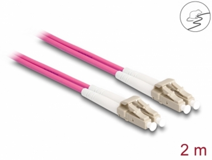 Attēls no Delock Fiber Optical Cable with metal armouring LC Duplex to LC Duplex Multi-mode OM4 2 m