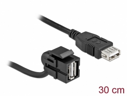 Attēls no Delock Keystone Module USB 2.0 A female 110° > USB 2.0 A female with cable black