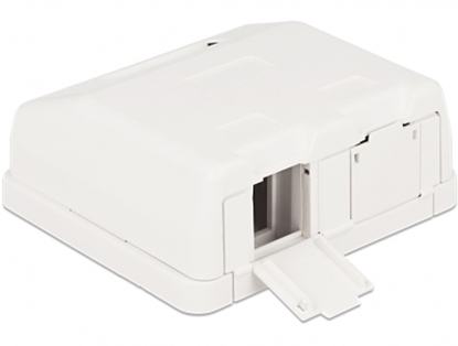 Attēls no Delock Keystone Surface Mounted Box 2 Port with dust cover