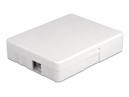 Picture of Delock Optical Fiber Connection Box for wall mounting for 2 x SC Simplex or LC Duplex white