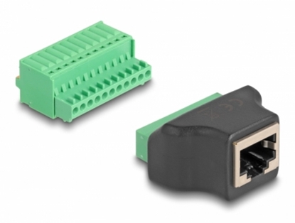 Picture of Delock RJ50 female to Terminal Block Adapter with push-button