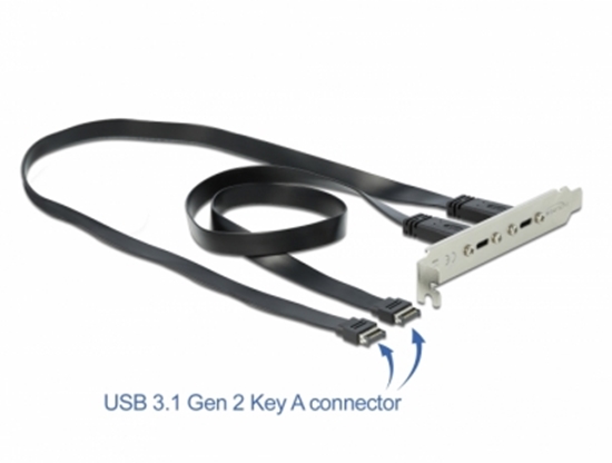 Picture of Delock Slot Bracket with 2 x USB Type-C™ Ports