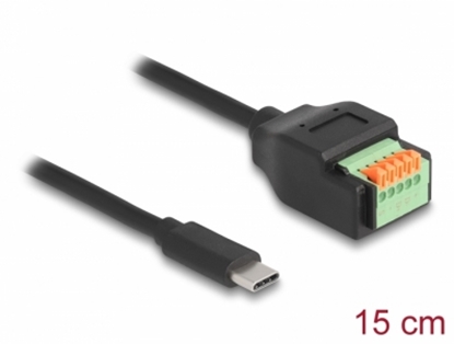 Picture of Delock USB 2.0 Cable USB Type-C™ male to Terminal Block Adapter with push button 15 cm