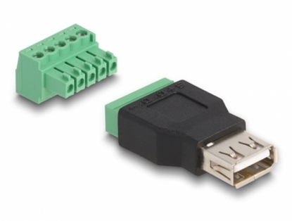 Picture of Delock USB 2.0 Type-A female to Terminal Block Adapter 2-part
