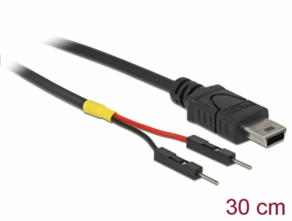 Attēls no Delock USB Power Cable Mini-B to 2 x pin header male separate power 30 cm