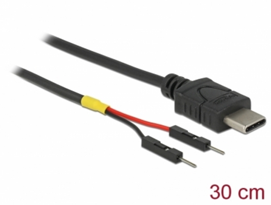 Picture of Delock USB Power Cable Type-C to 2 x pin header male separate power 30 cm