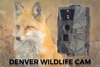 Изображение Denver WCT-5001 Wildlife Camera