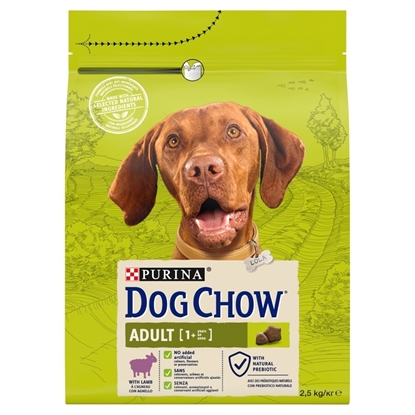 Picture of DOG CHOW ADULT Lamb 2.5 kg