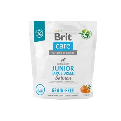 Picture of Dry food for young dog (3 months - 2 years), large breeds over 25 kg - Brit Care Dog Grain-Free Junior Large salmon 1kg