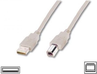 Изображение Kabel USB Digitus USB-A - micro-B 3 m Beowy (AK-300102-030-E)