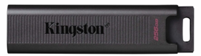 Picture of Kingston DataTraveler Max 256GB Black
