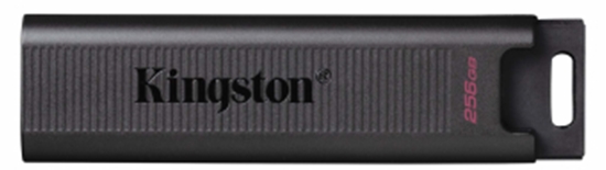 Picture of Kingston DataTraveler Max 256GB Black